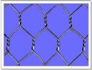 hexagonal wire mesh